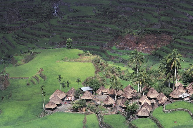 Banaue riceterraces