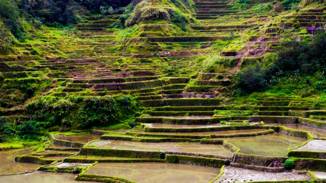 Banaue riceterraces