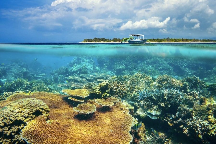 Det bedste af Bali, Lombok og Gili øerne