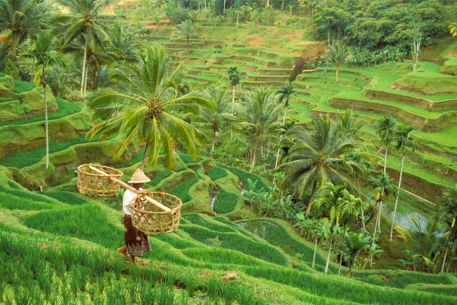 Bali i harmoni med naturen