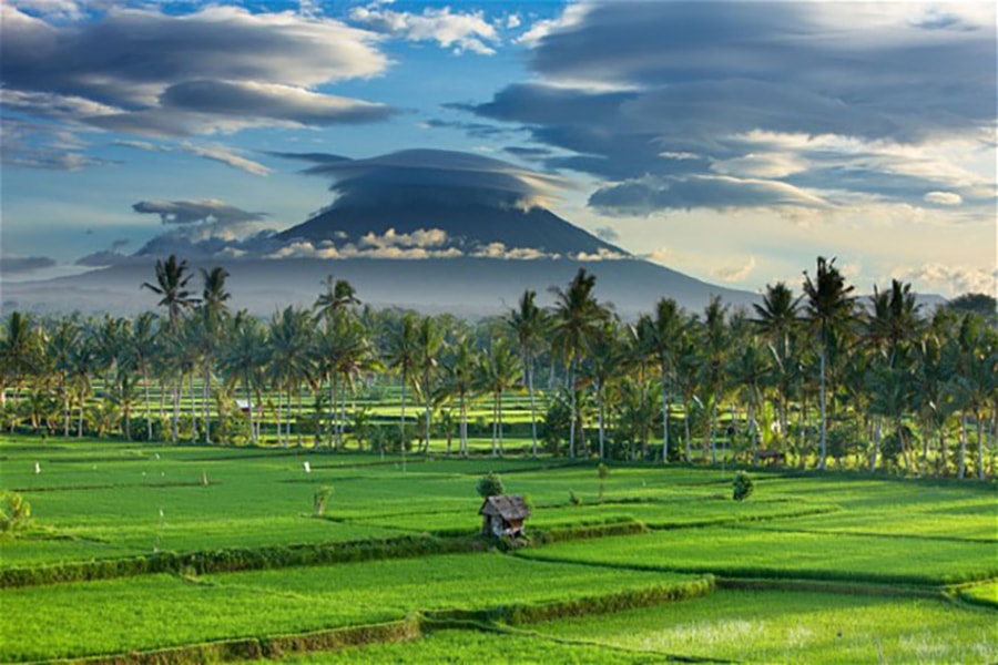 Klassiske Bali og badeferie 