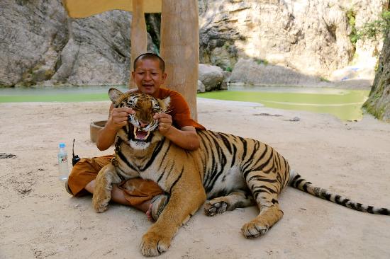 Tiger Temple Kanchanaburi