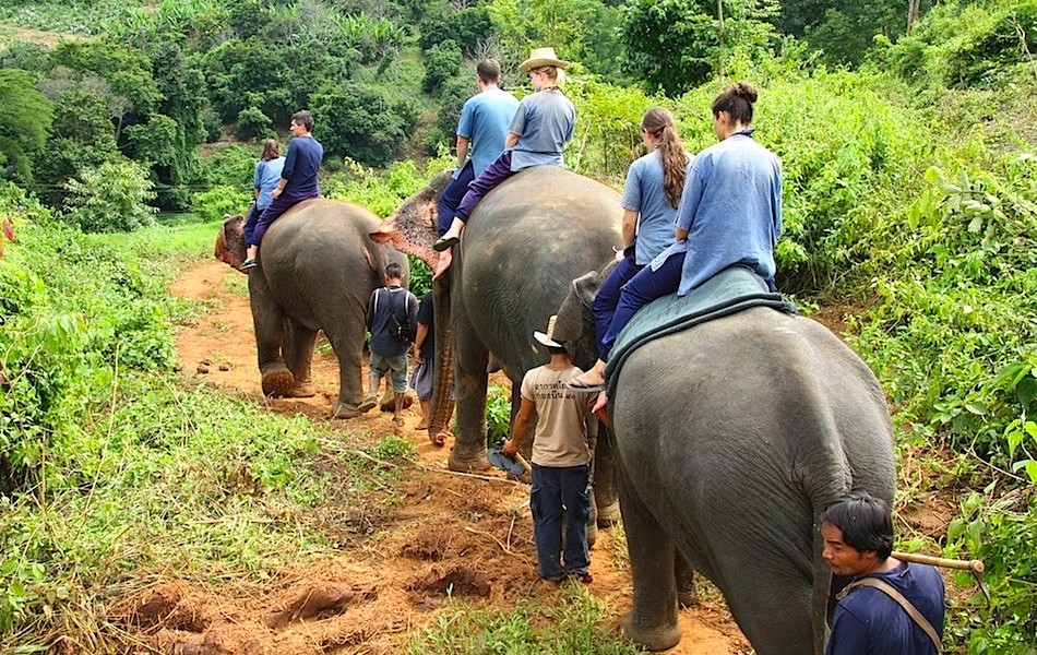 Elephant Trekking Thailand