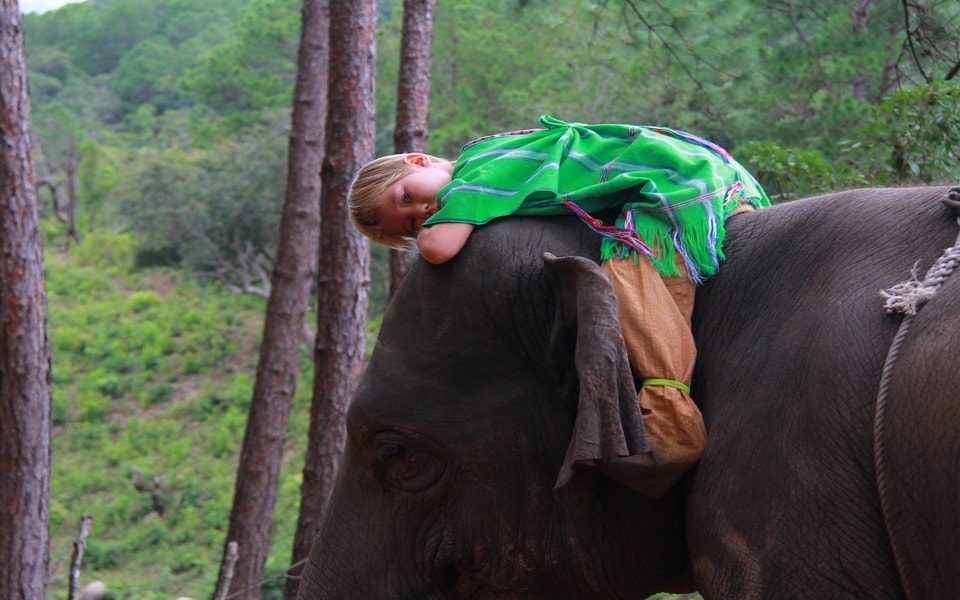 gachorgwa elephant camp